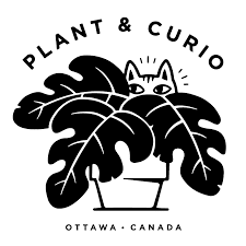 Plant & Curio